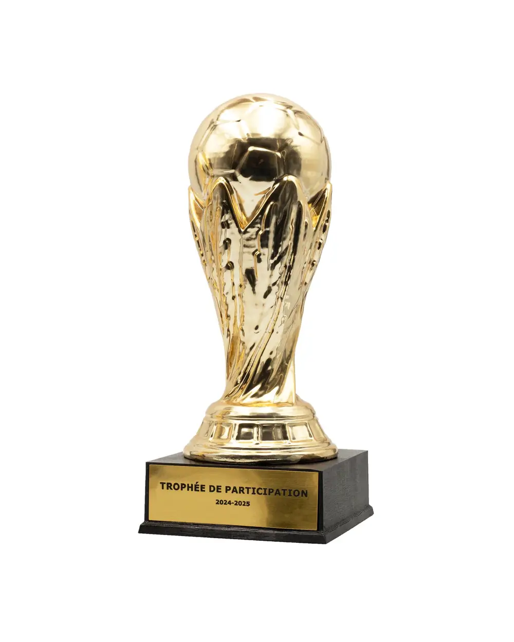 Coupe chromée argent personnalisée pour championnat en Tunisie