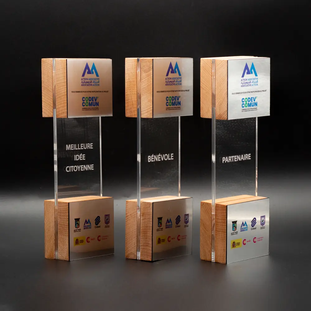 Trophée 3D premium bois et impression 3D, atelier de l'Aouina