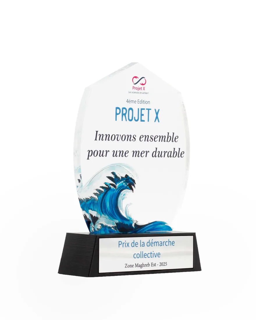 Trophée Harmonie plexiglass et relief SIL3A 3D Tunisie
