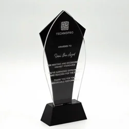 Trophée festival art culinaire concours Tunisie